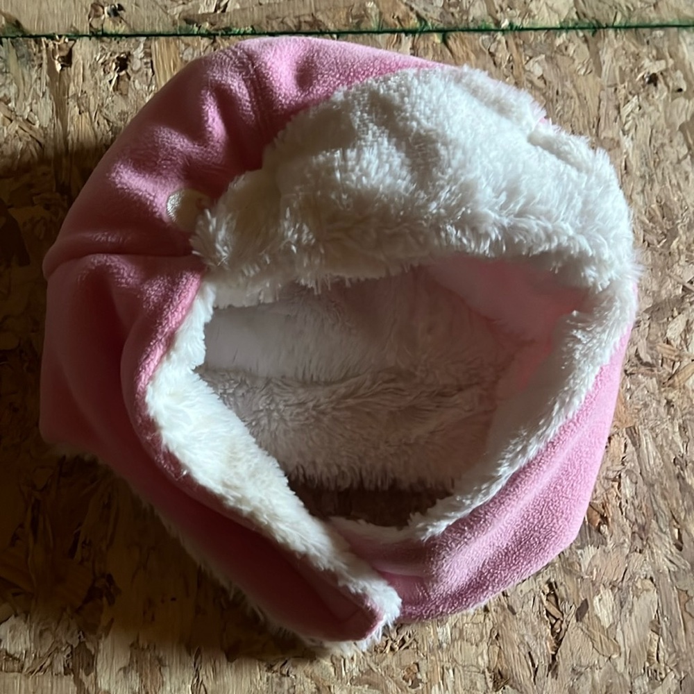 Toddler Carhartt toboggan
